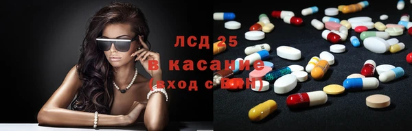 крисы Аркадак