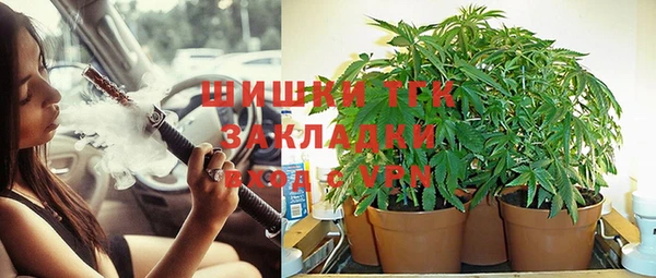 винт Армянск