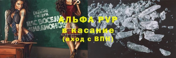 спайс Алзамай