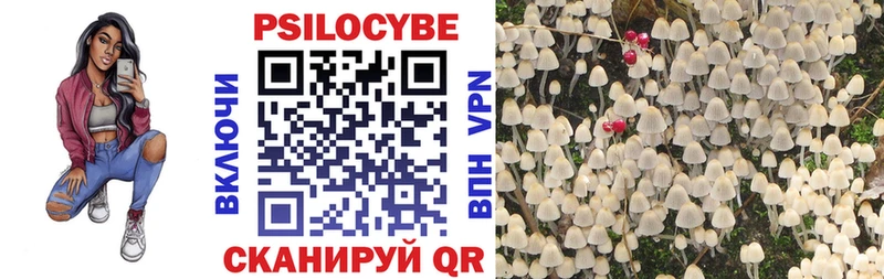 Псилоцибиновые грибы MAGIC MUSHROOMS  Курган 